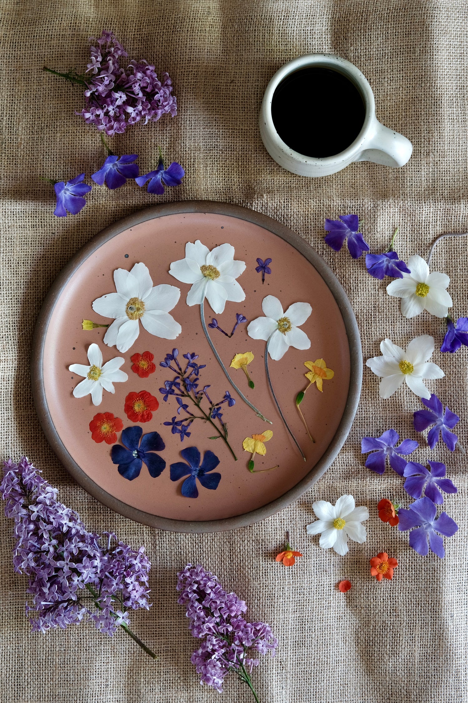 Notes on Pressing Lilacs, Anemone, Geum, + Periwinkle.
