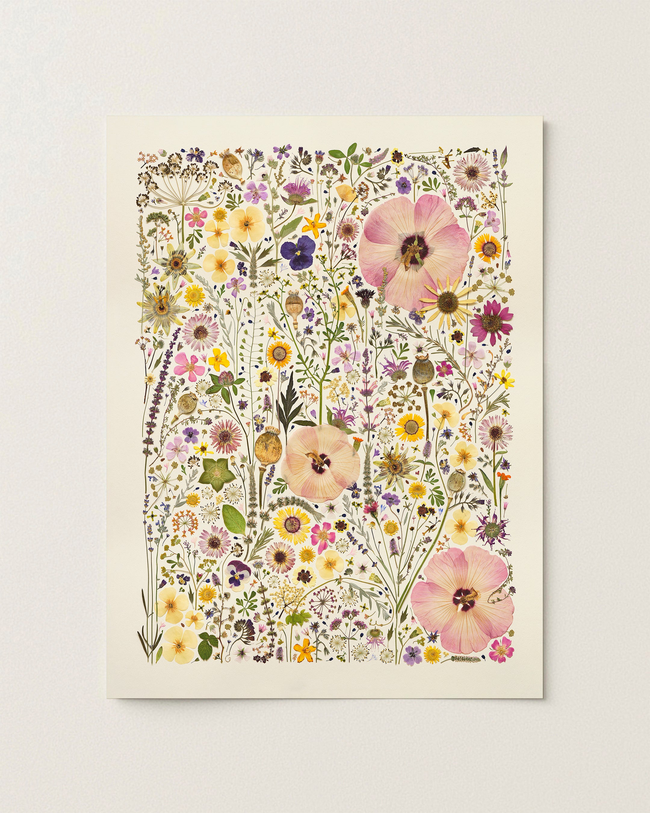 HERB GARDEN | Limited Edition