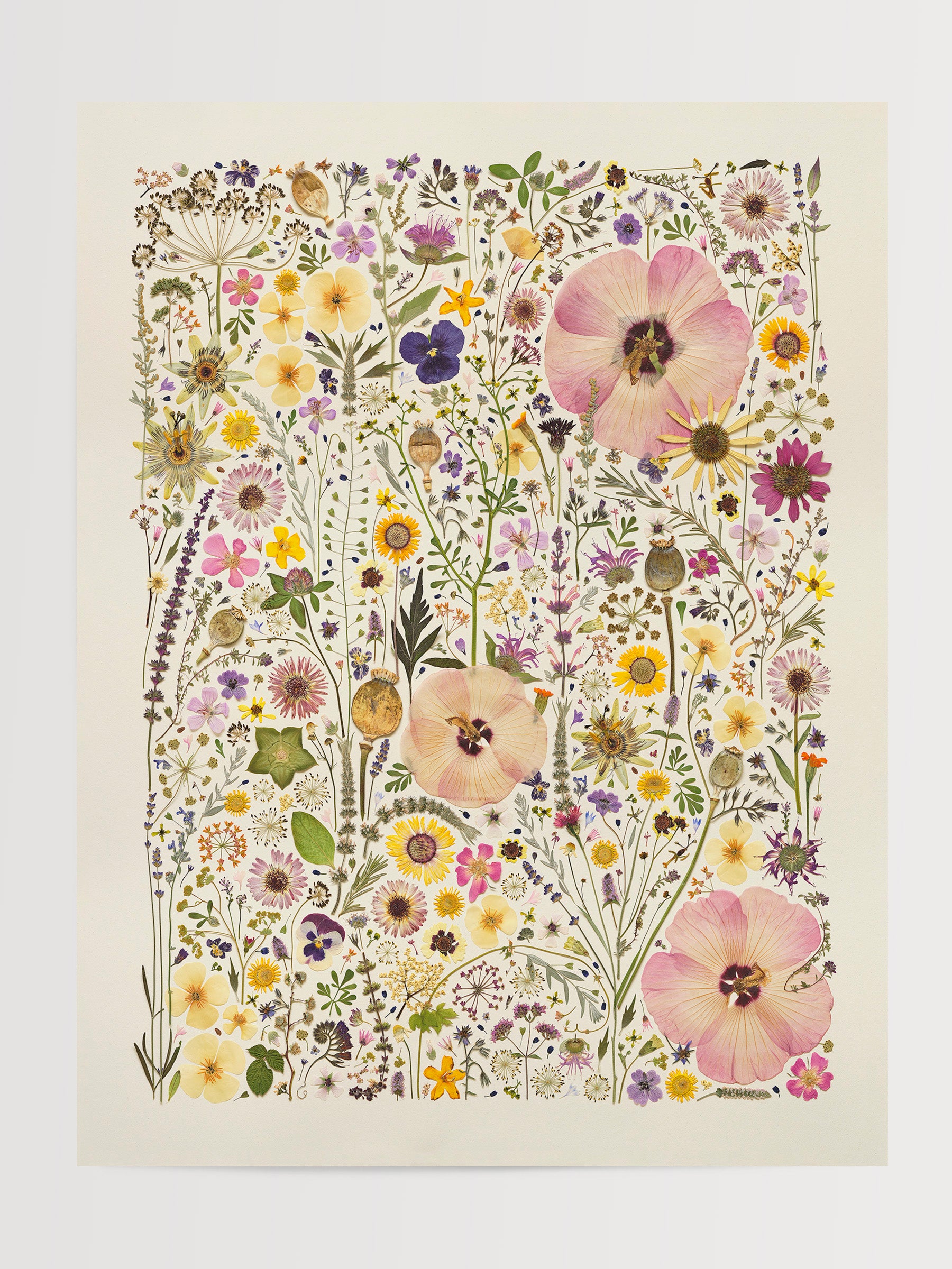 HERB GARDEN | Limited Edition Release