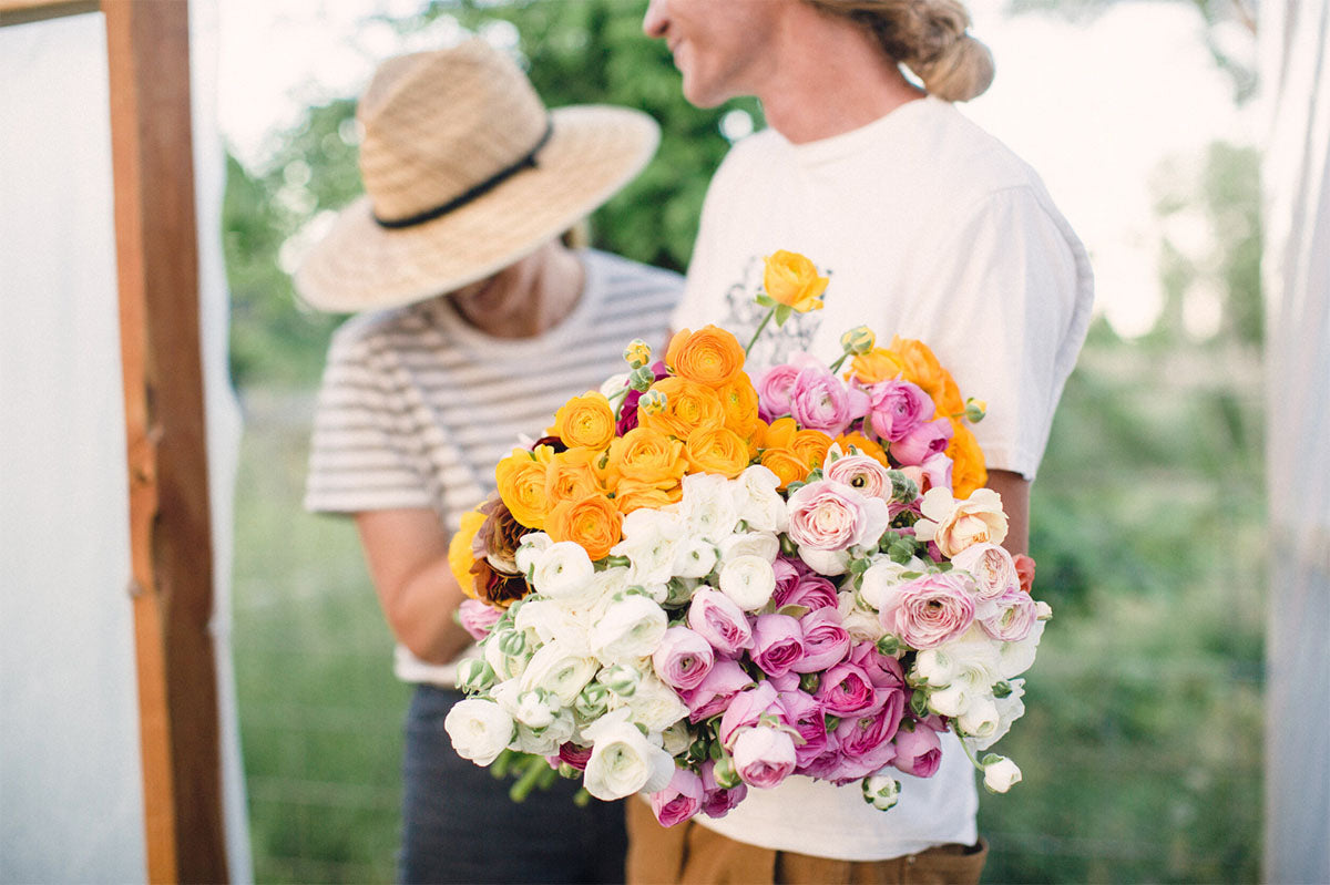 Two farmers from Little Hollow Flower Farm standing holding a bunch of yellow, white, and pink ranunculus and rose flowers. 