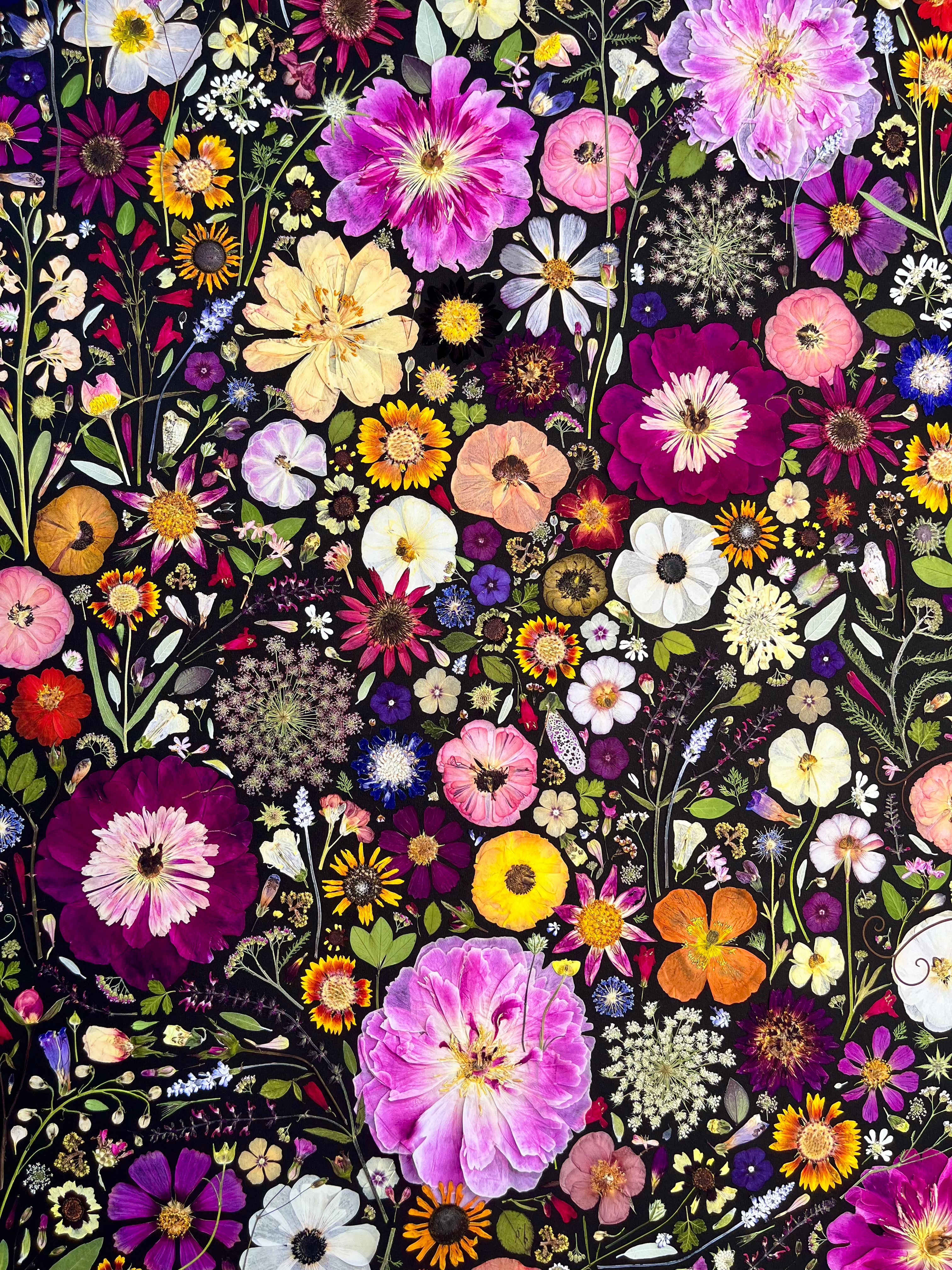 Close up of P lume and Furrow Fine Art Print