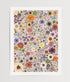 Plume and Furrow Fine art pressed flower print