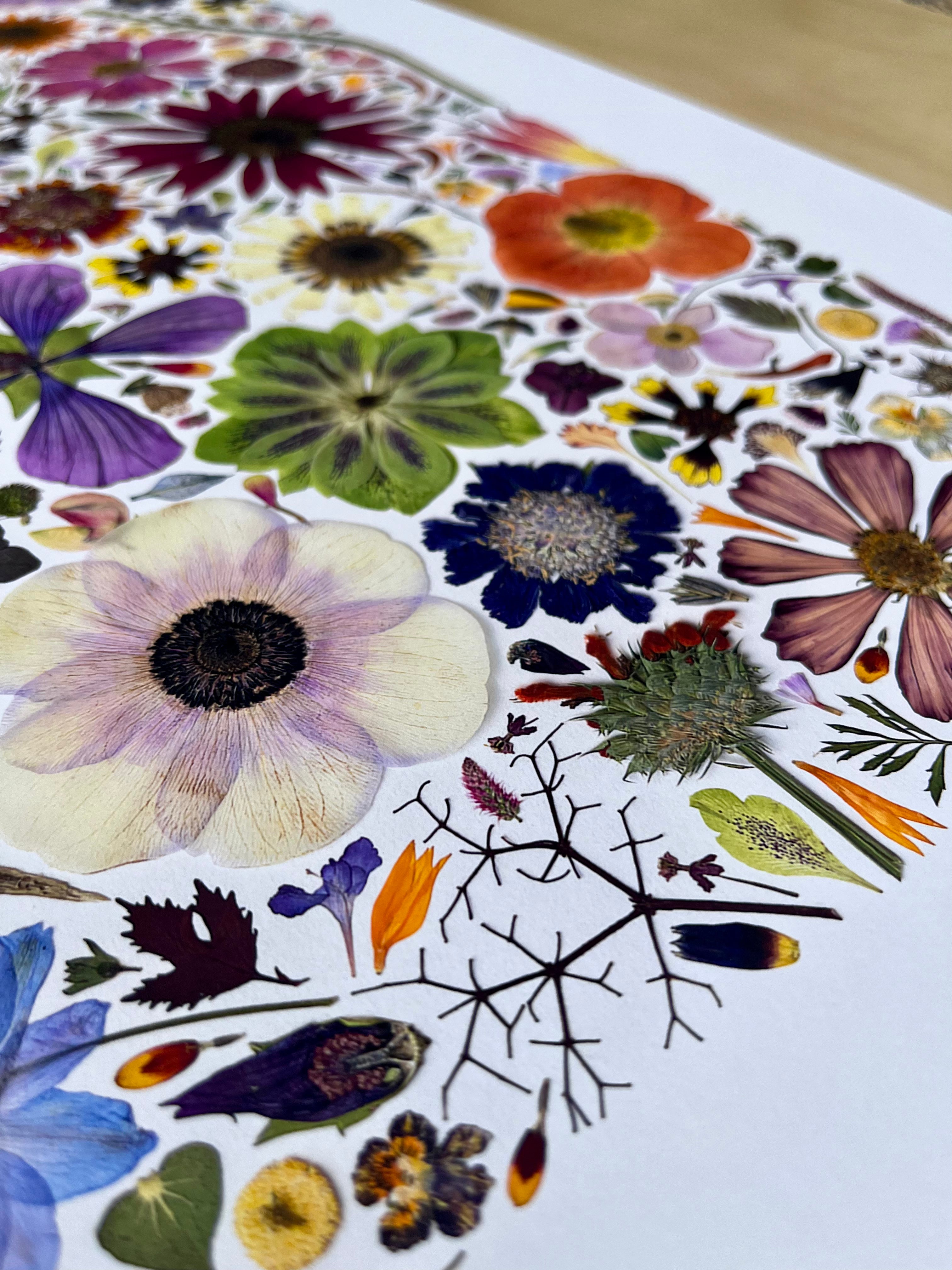 Plume and Furrow Fine art Print Pressed Flower art