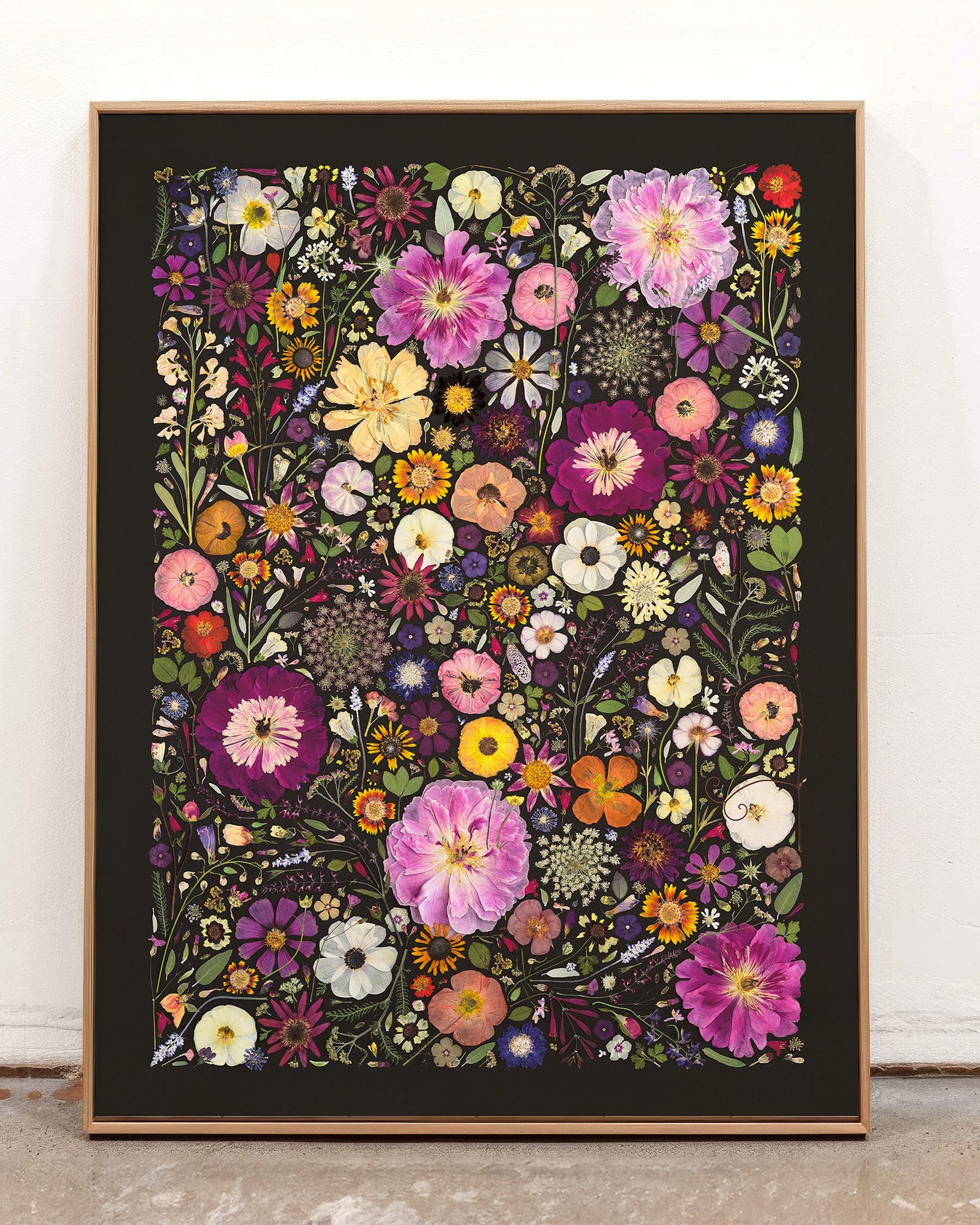 Little HOllow and Red Daisy Stretched Canvas Fine Art Print Framed