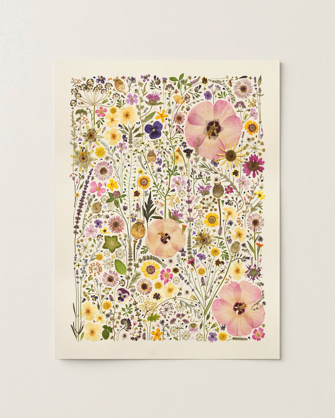 HERB GARDEN | Limited Edition