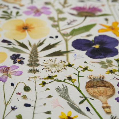 HERB GARDEN | Limited Edition Release