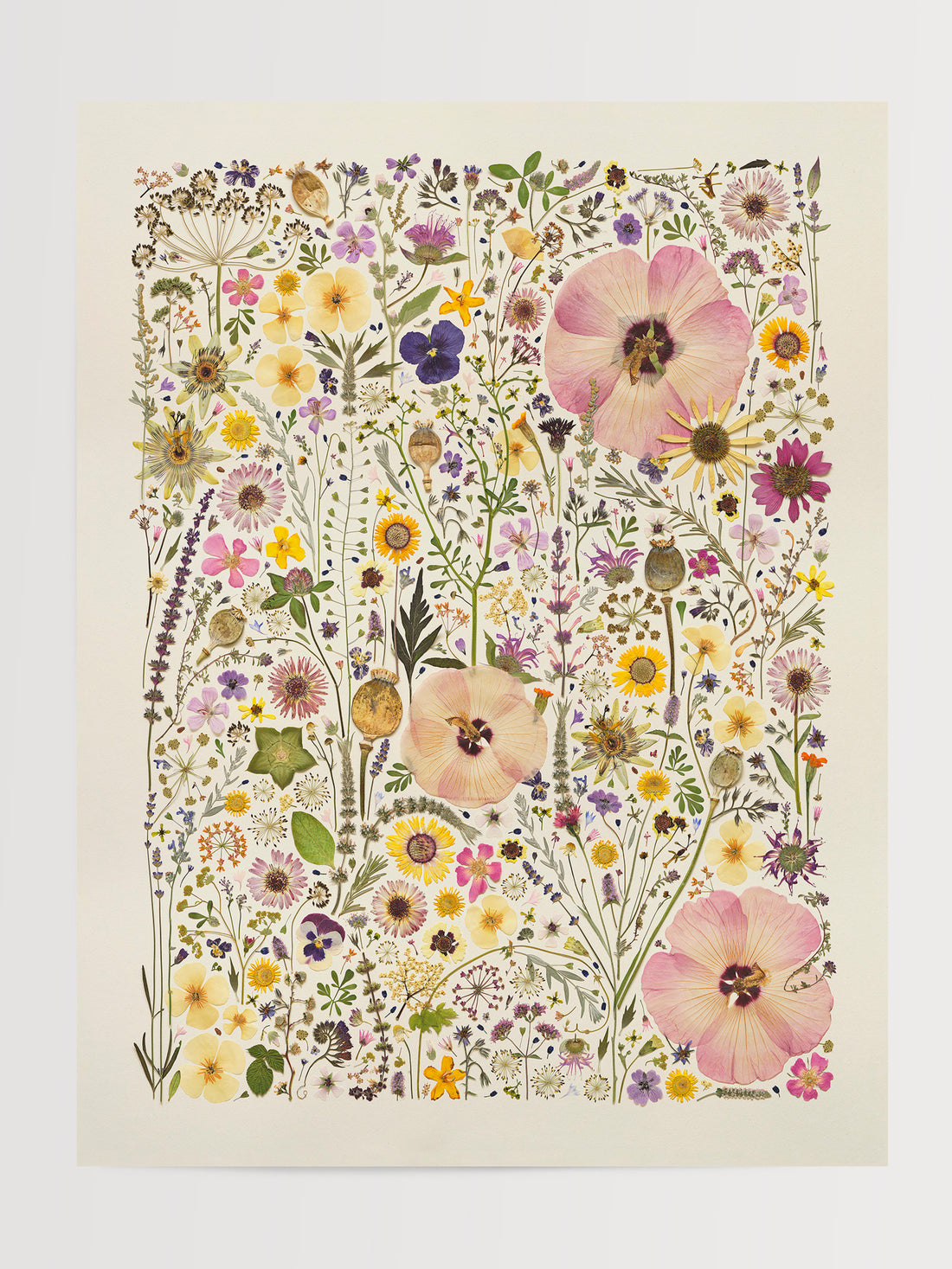 HERB GARDEN | Limited Edition Release