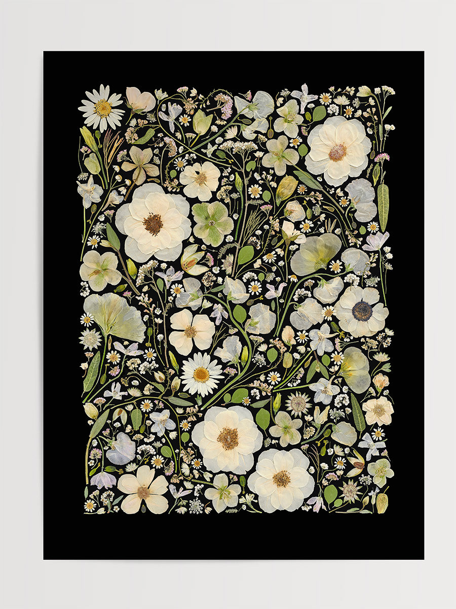 Archive – Flower Press Studio