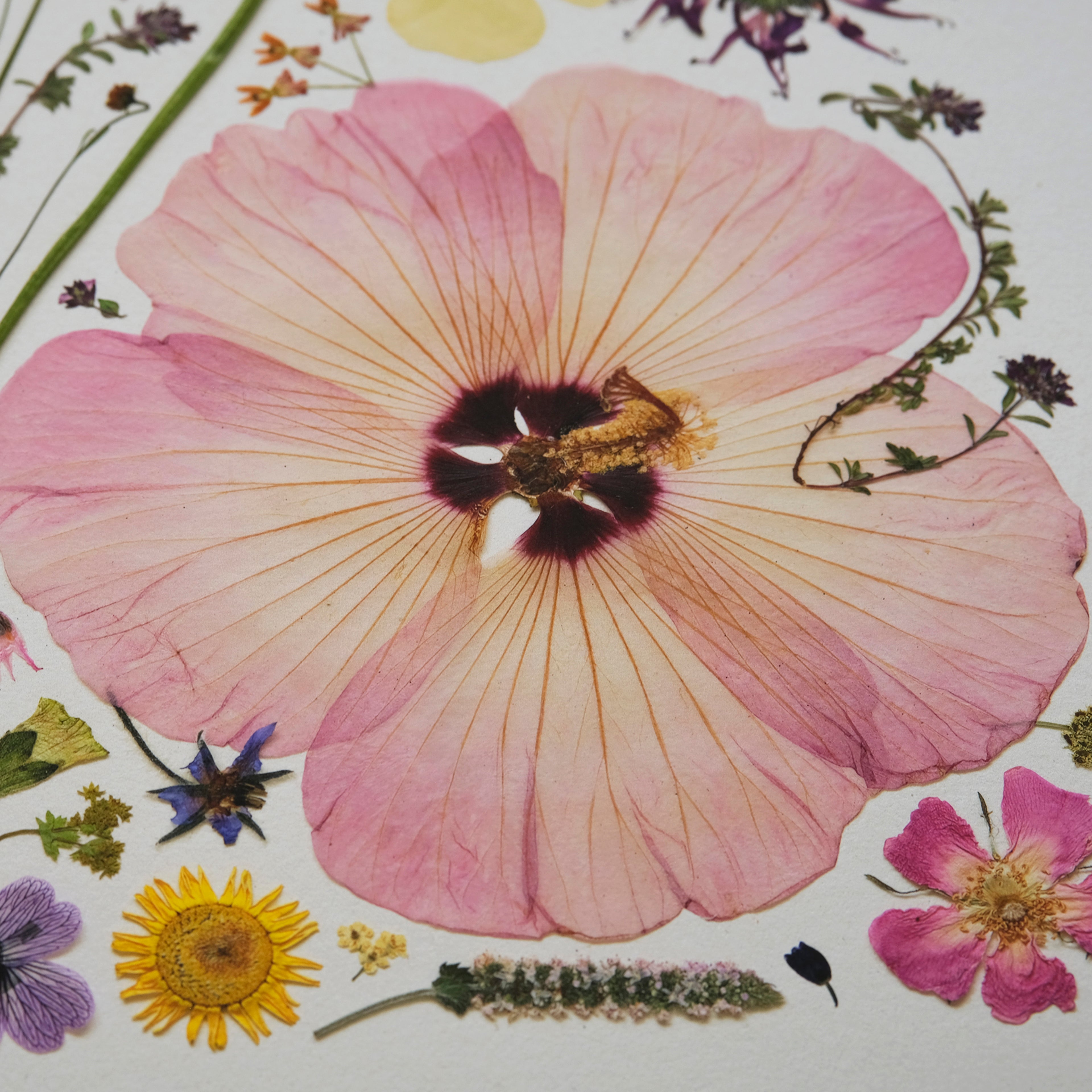 HERB GARDEN | Limited Edition Release