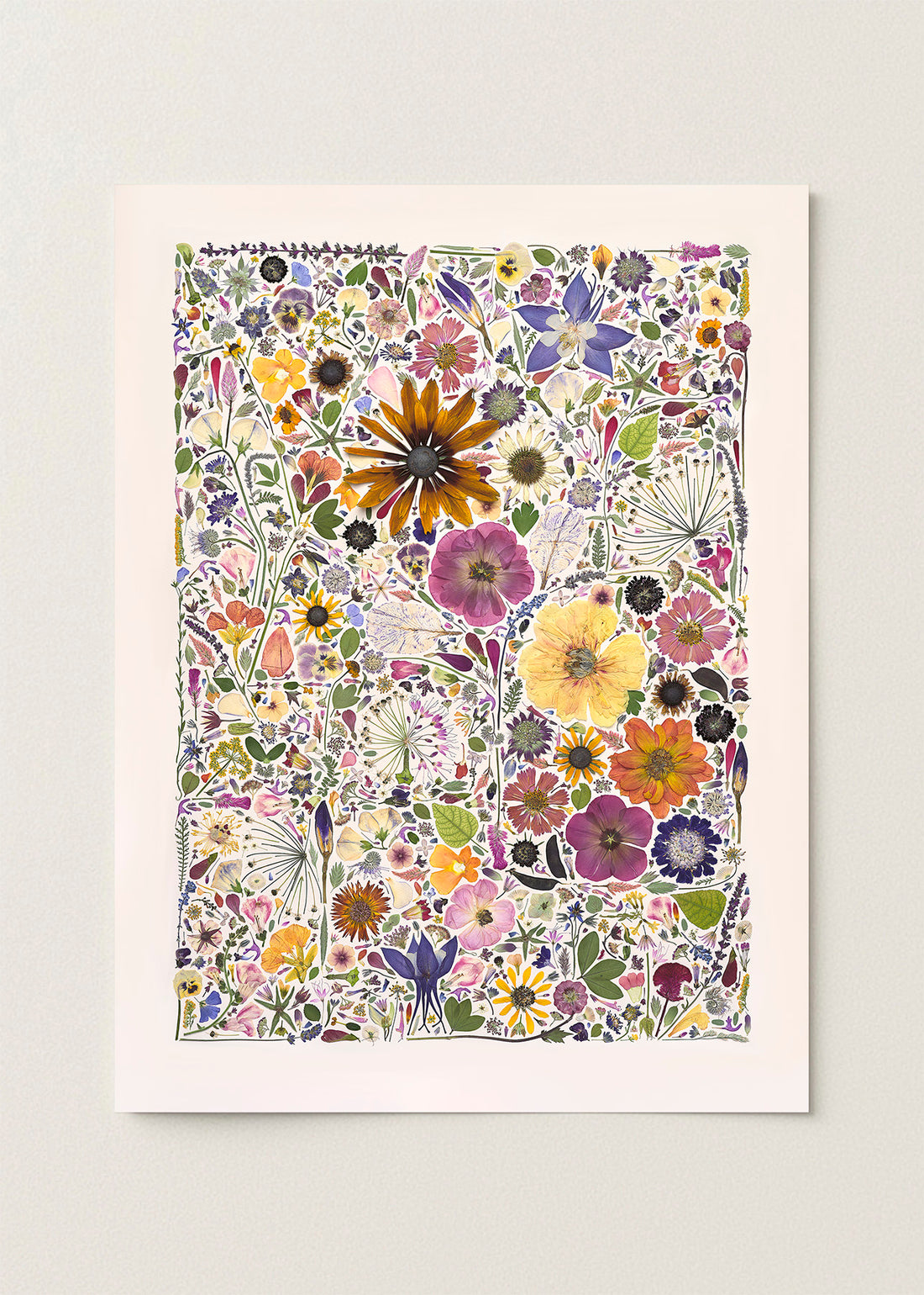 Blossom and Branch
