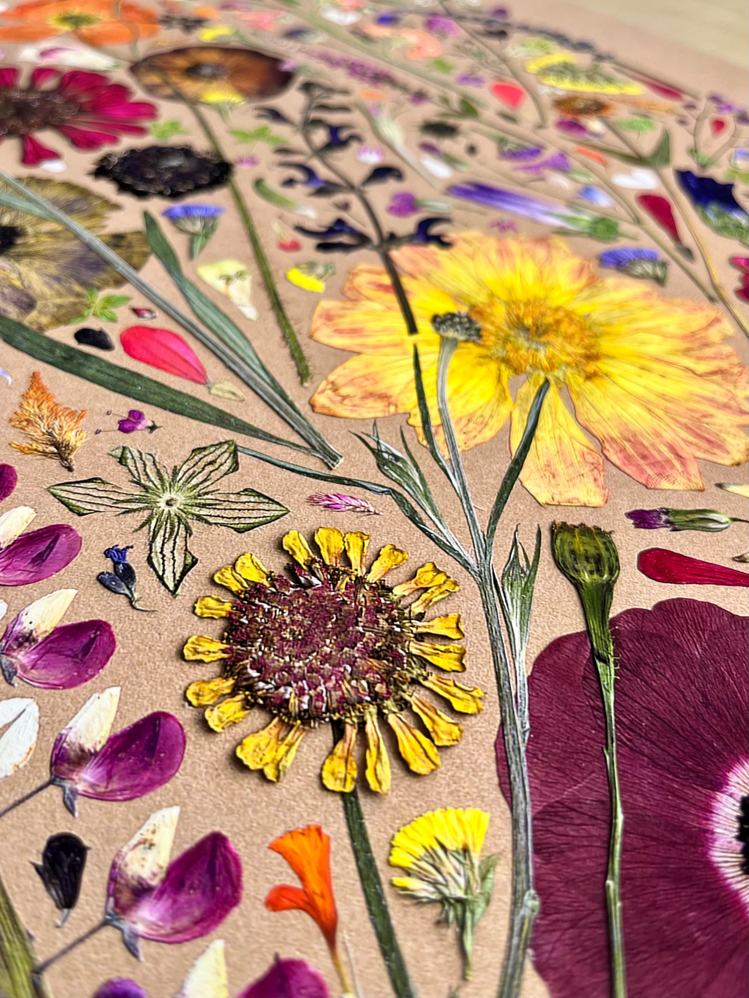 Close up of Pressed Flower Fine Art Print from ARtemis Flower Farm