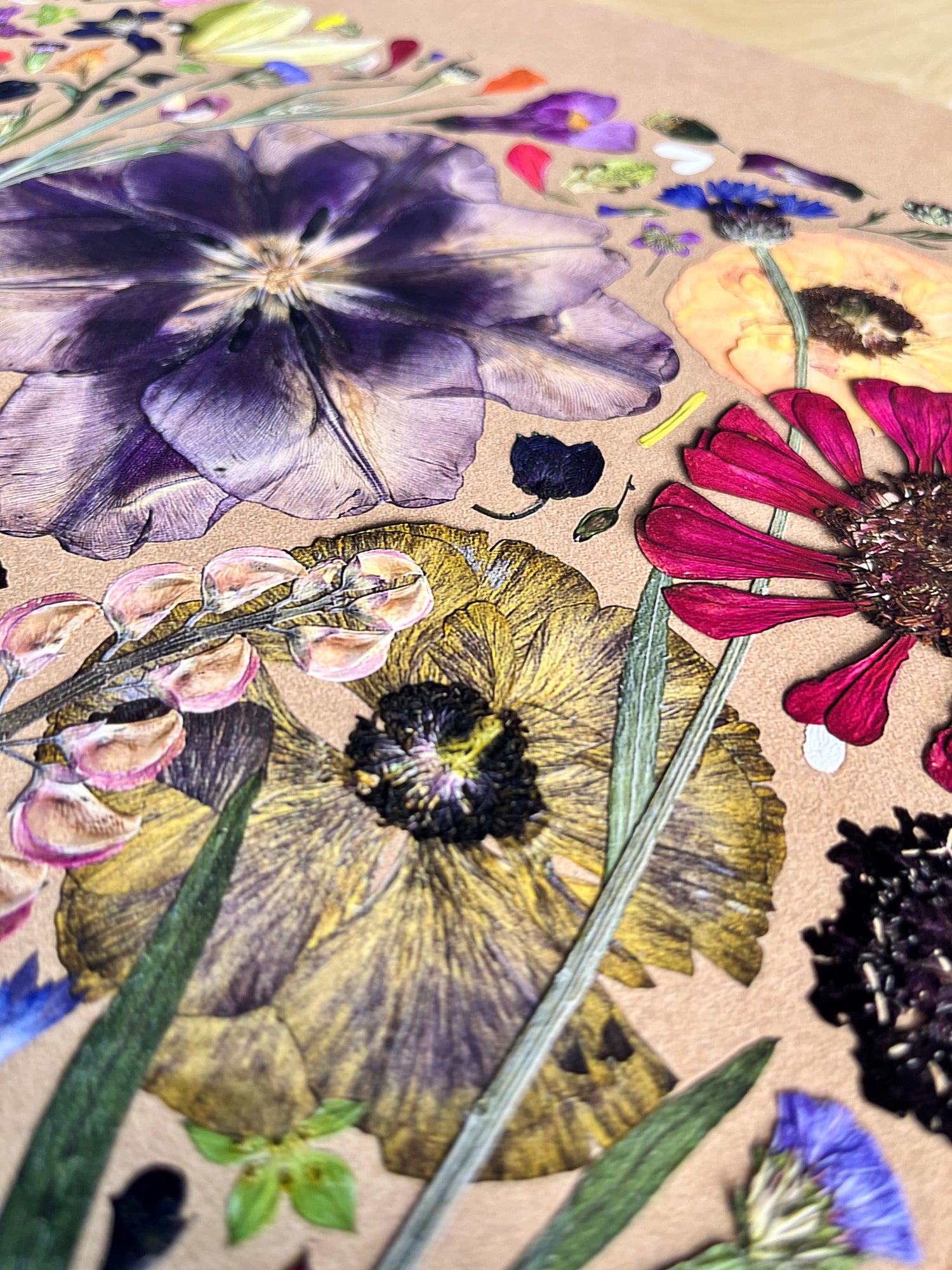 Close up of Pressed Flower Fine Art Print from Artemis