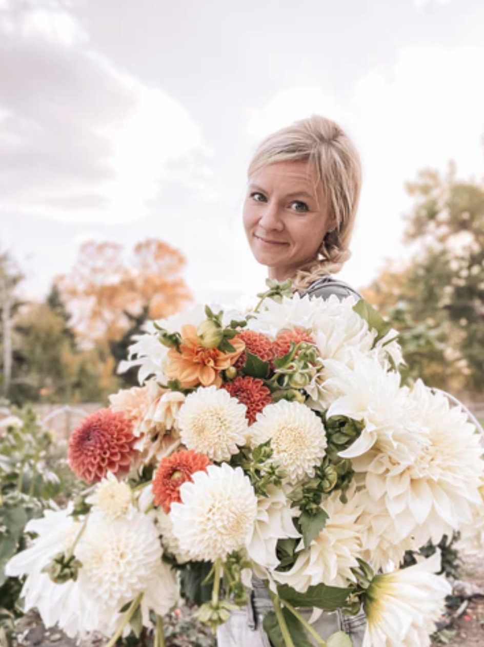 A woman outside holding a bouquet of fresh, pink ball dahlias and white dinner plate dahlias.
