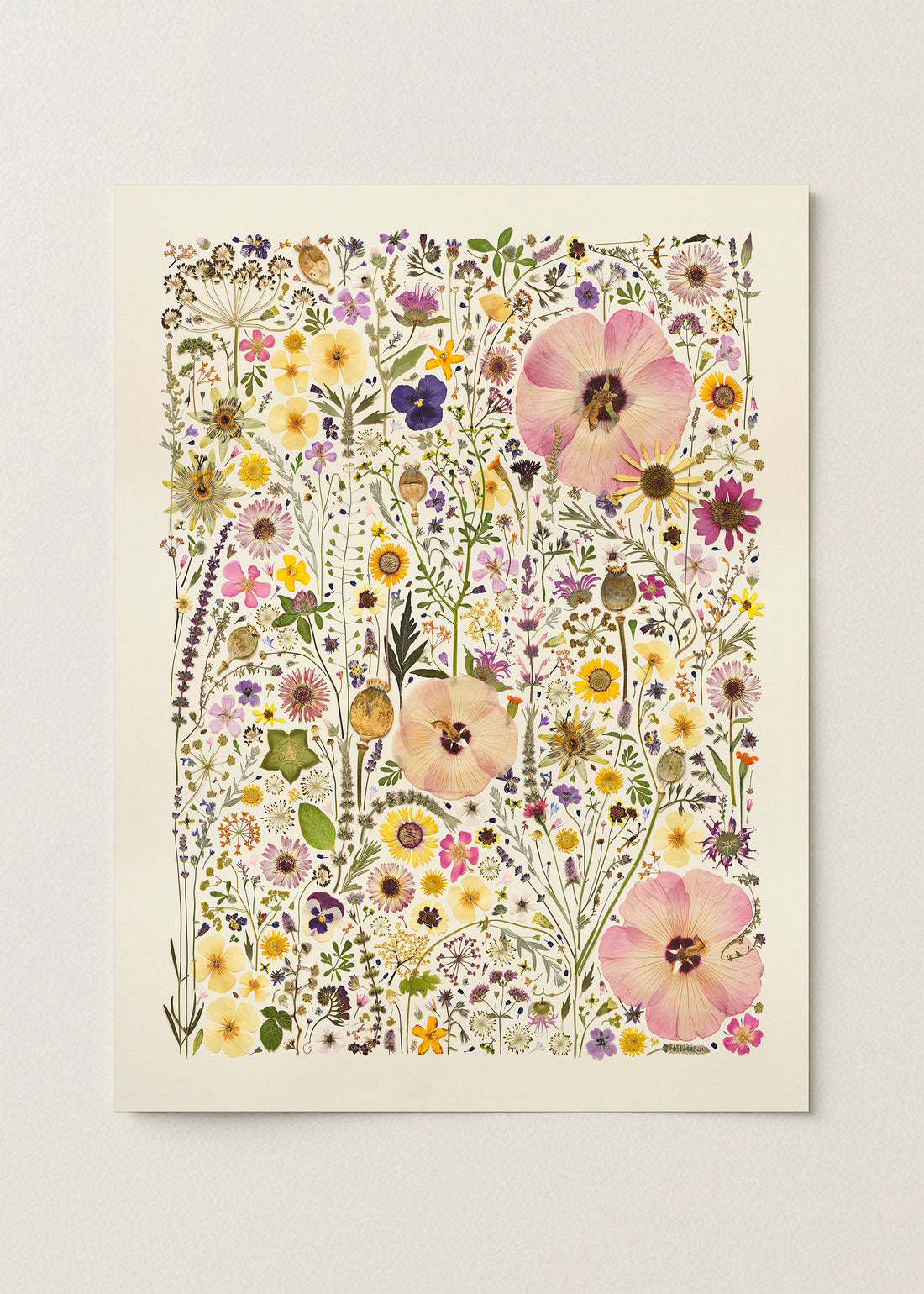 HERB GARDEN | Limited Edition