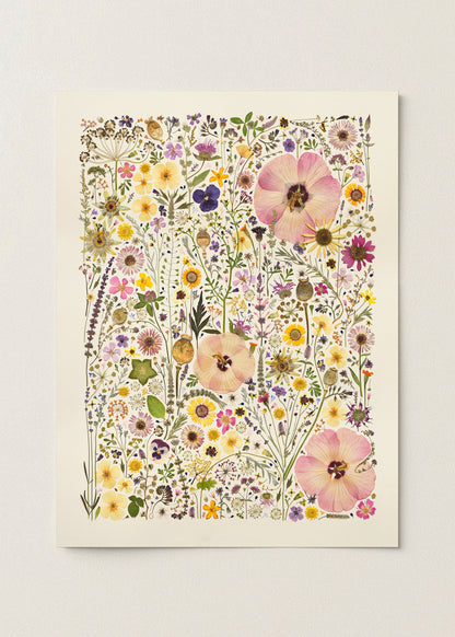 HERB GARDEN | Limited Edition