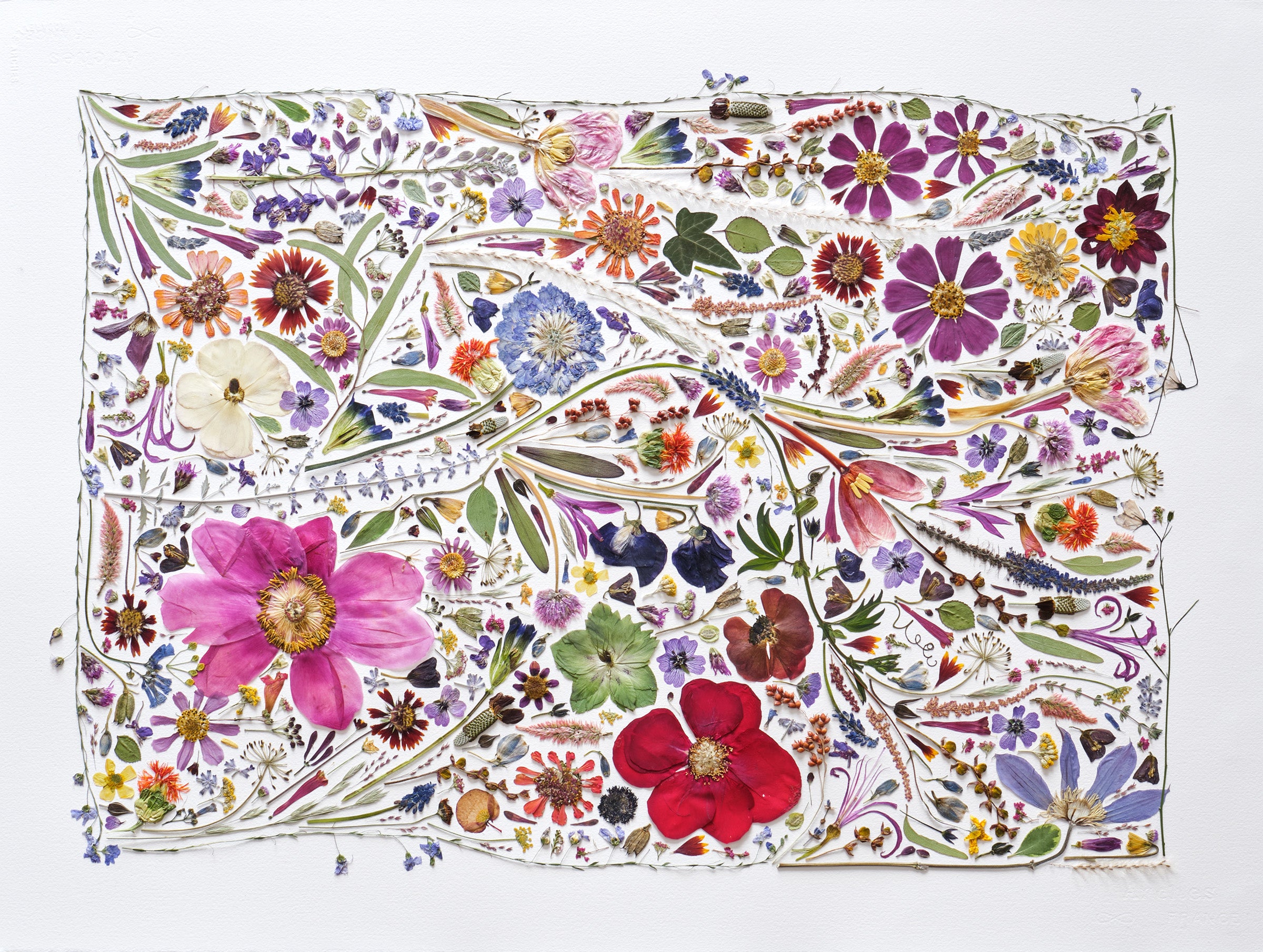 Colorful Spring flowers that have been pressed and dried and then made into a beautiful organic art piece.