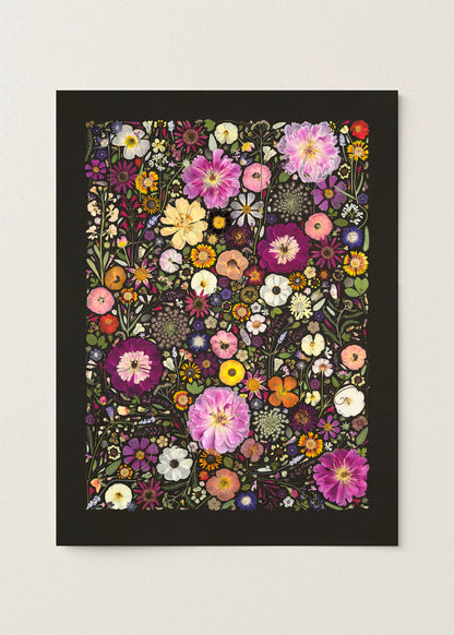 Little Hollow &amp; Red Daisy