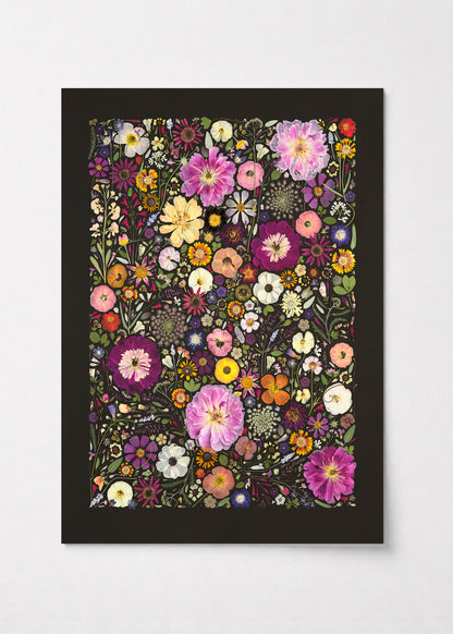 Little Hollow &amp; Red Daisy