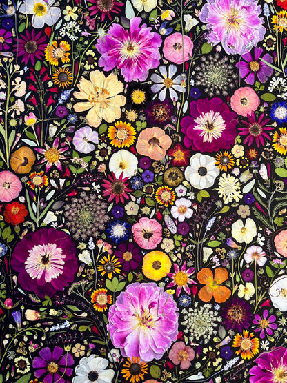 Close up of P lume and Furrow Fine Art Print