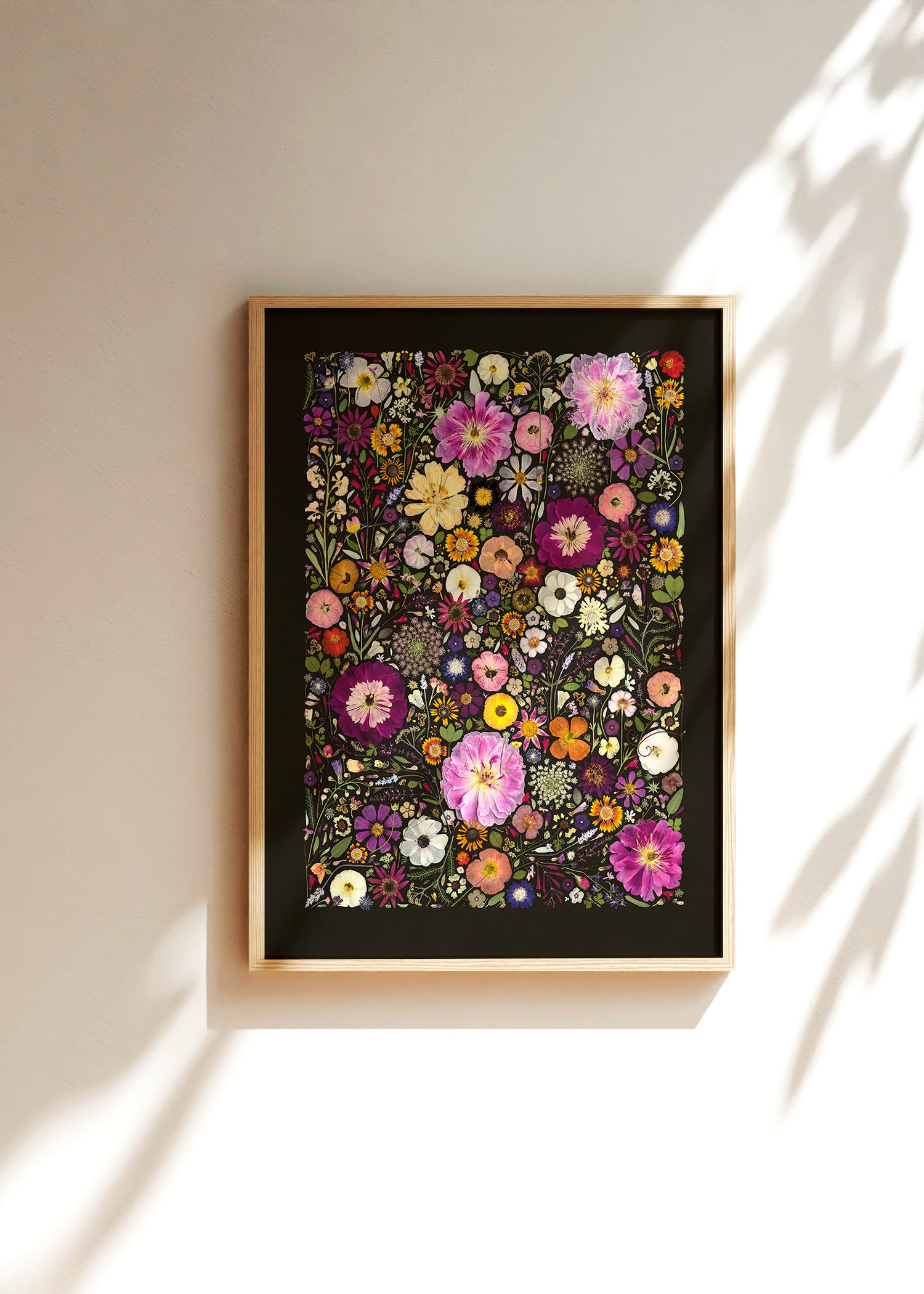 Little Hollow &amp; Red Daisy