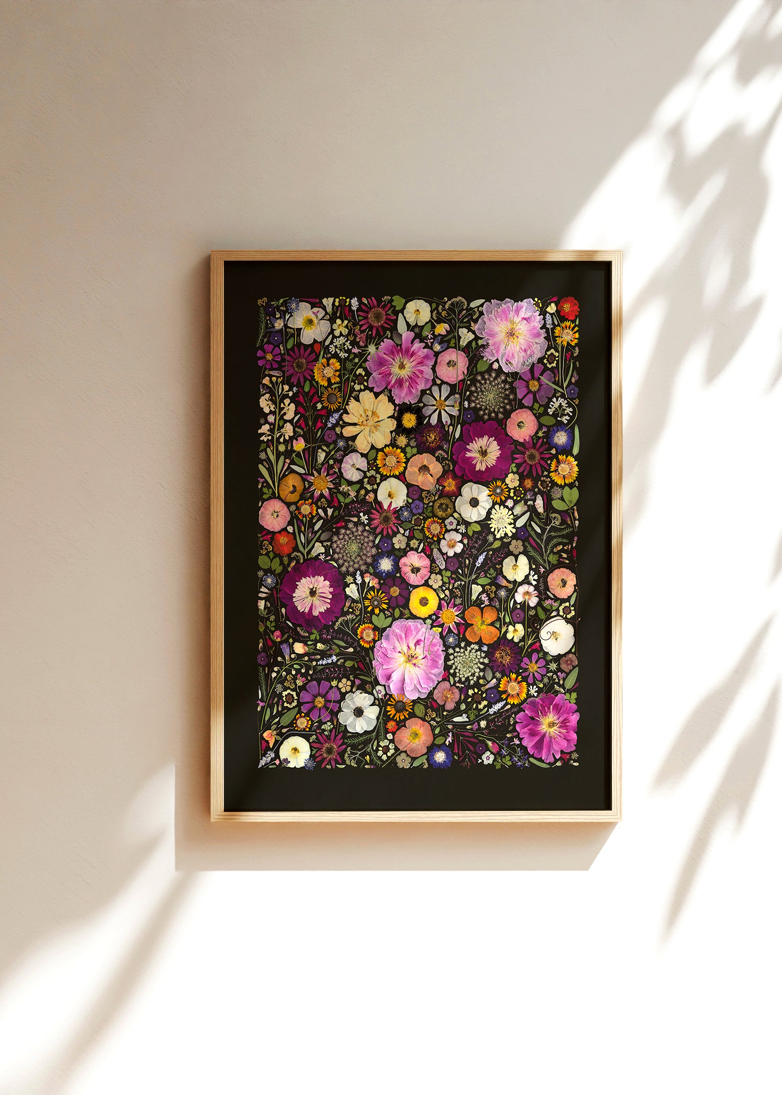Little Hollow &amp; Red Daisy