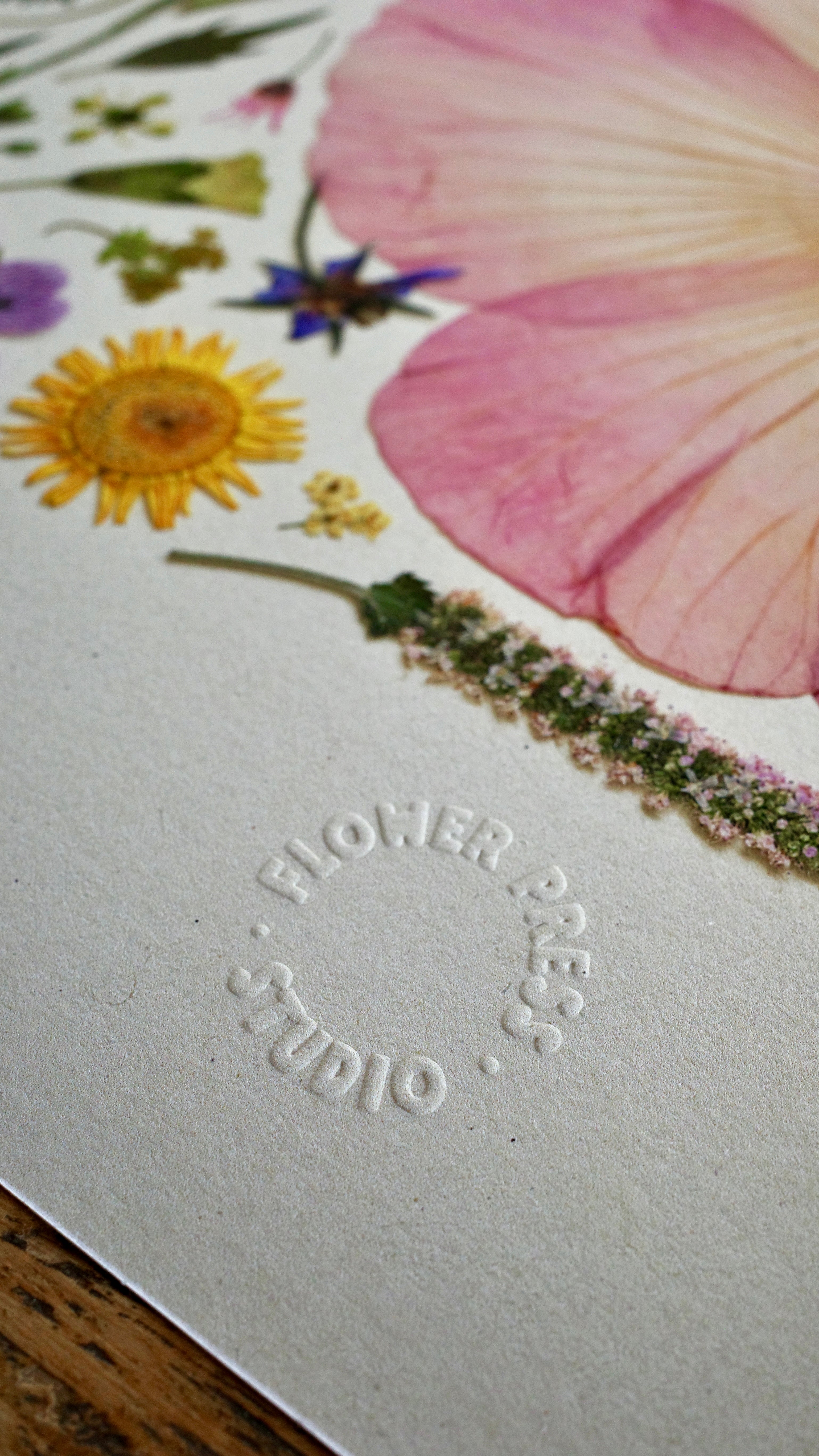 HERB GARDEN | Limited Edition Release