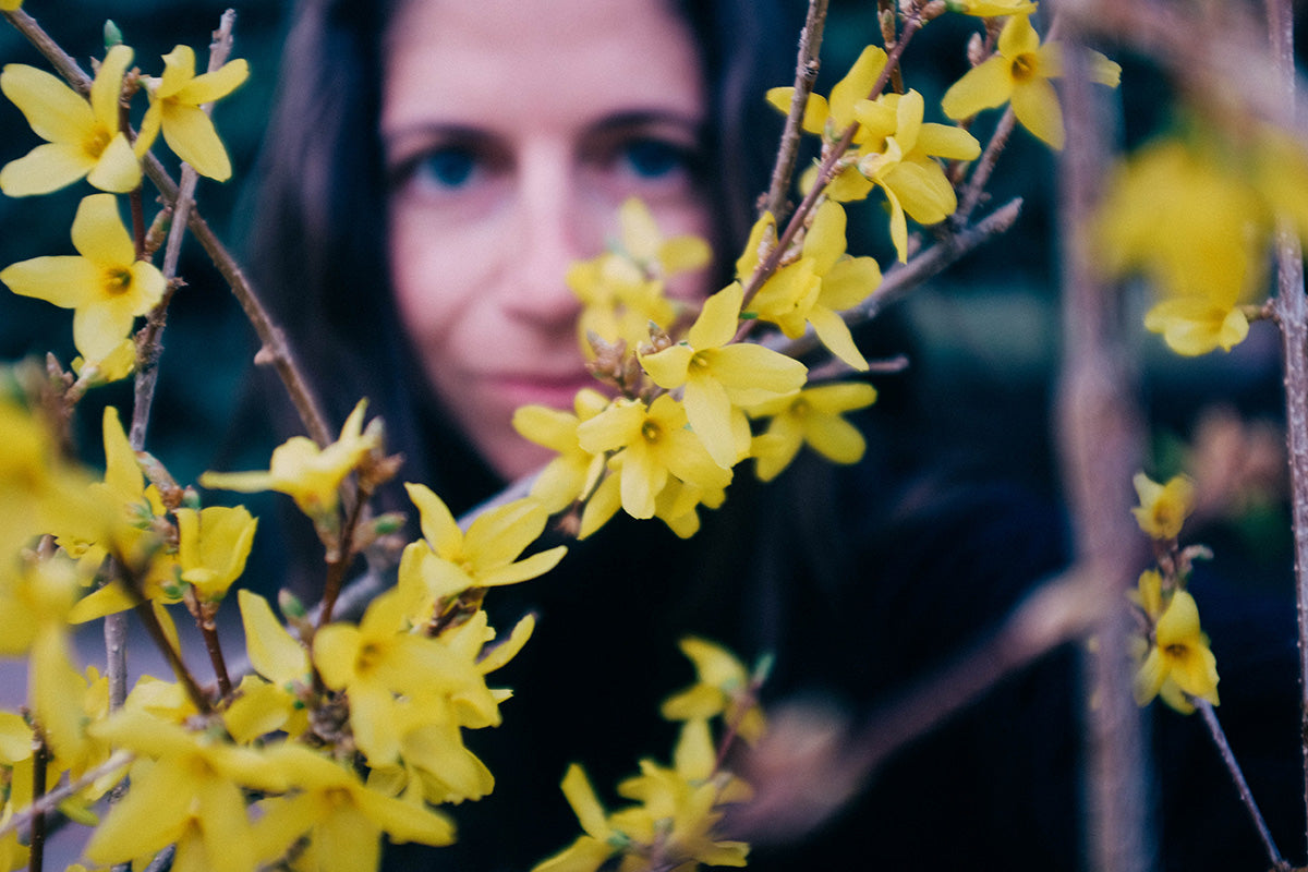 A woman behind branches of blooming forsythia.