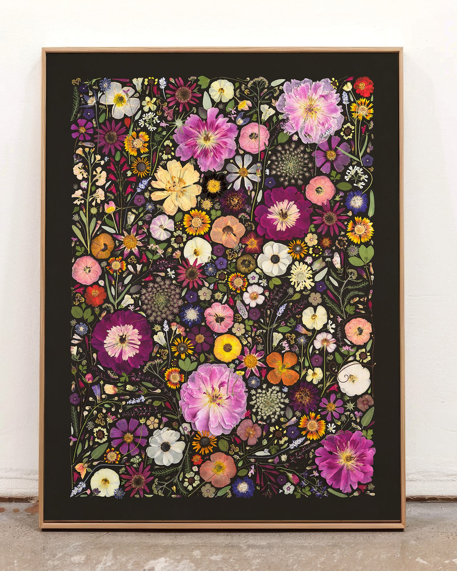 Little HOllow and Red Daisy Stretched Canvas Fine Art Print Framed