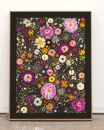 Little HOllow and Red Daisy Stretched Canvas Fine Art Print Framed