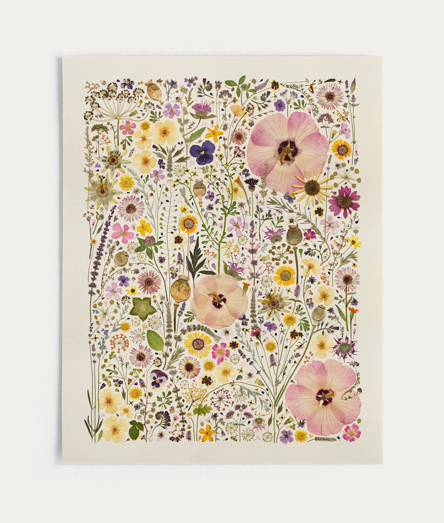 HERB GARDEN | Limited Edition Release