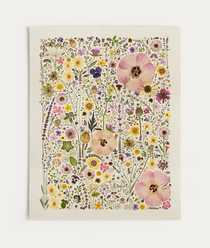 HERB GARDEN | Limited Edition Release