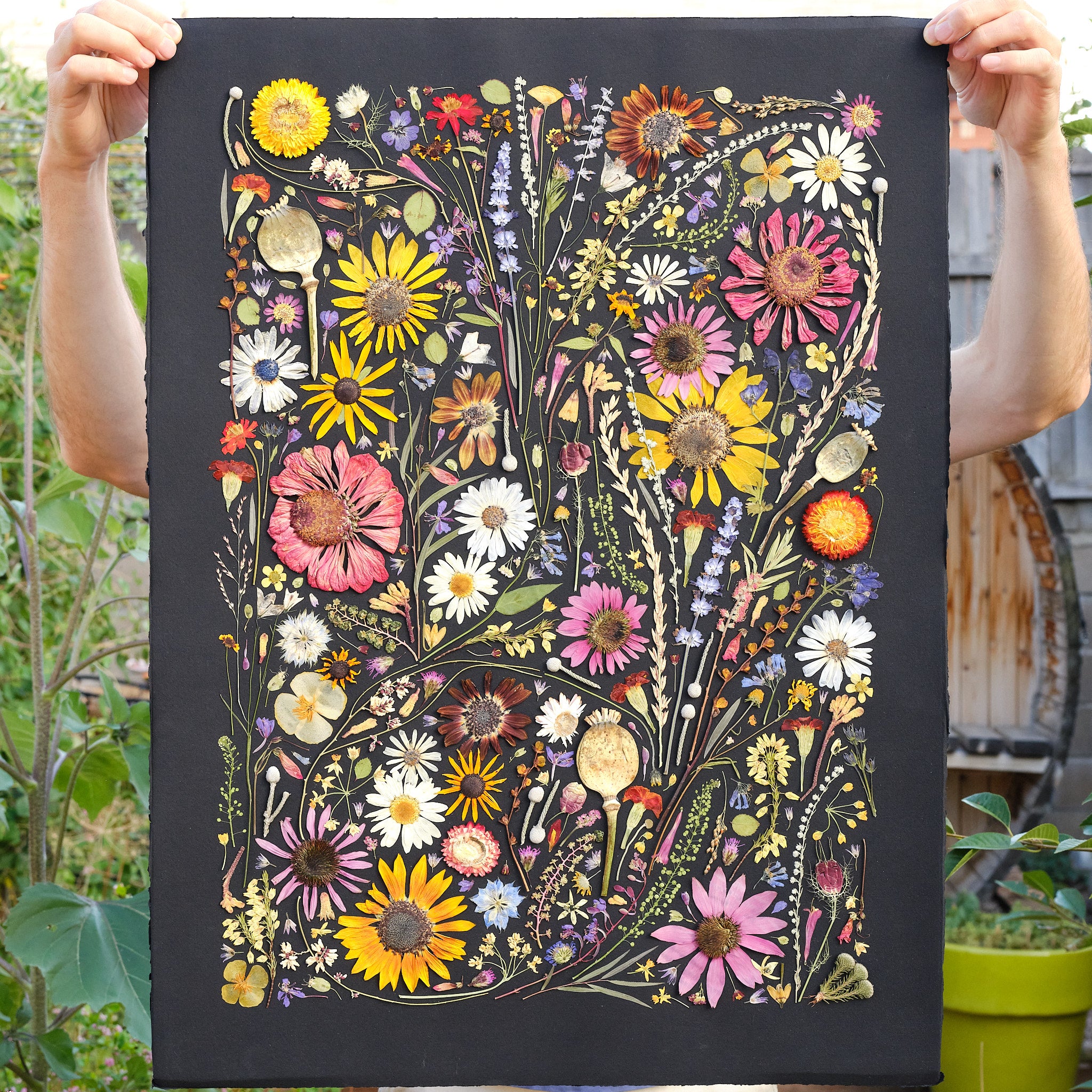 Original Pressed Flower Art – Flower Press Studio